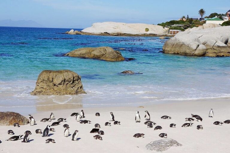 Cheap Flights to Africa: Ticket to Adventure Without Going Broke