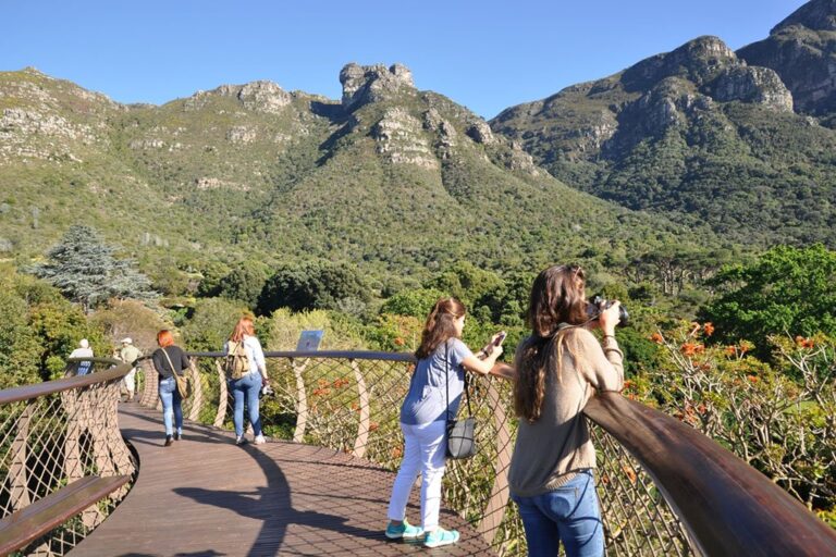 Cheap Flights to Cape Town + Travel Guide